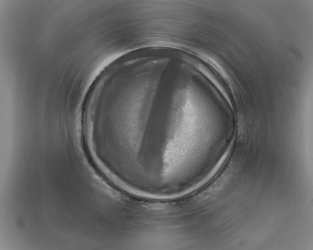 X0000113301048200910051038