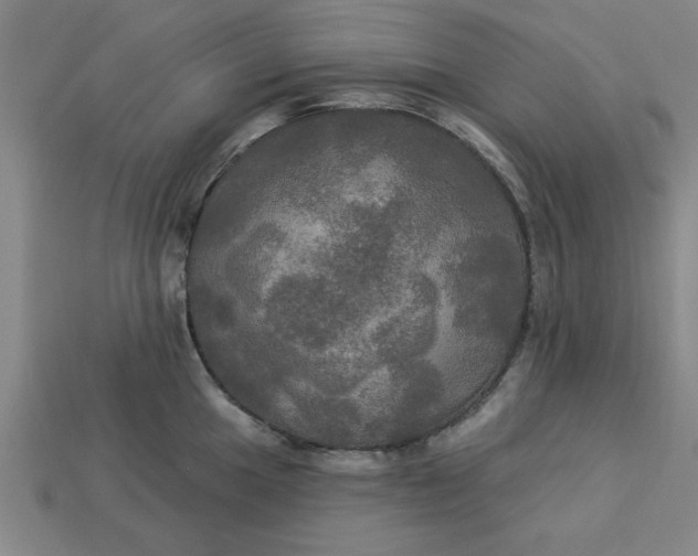 X0000113301049200910051038