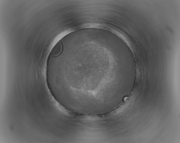 X0000113301050200910051038