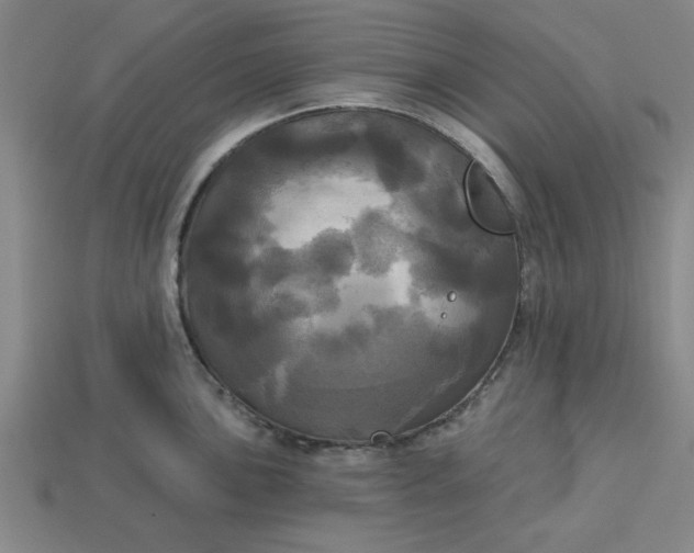 X0000113301051200910051038