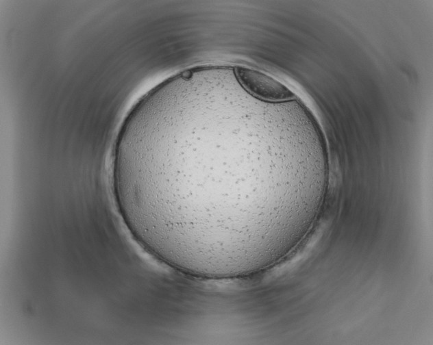 X0000113301053200910051038