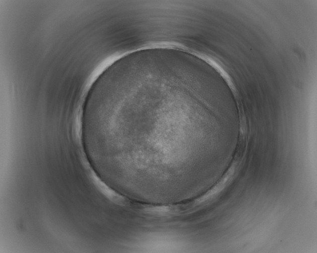 X0000113301054200910051038