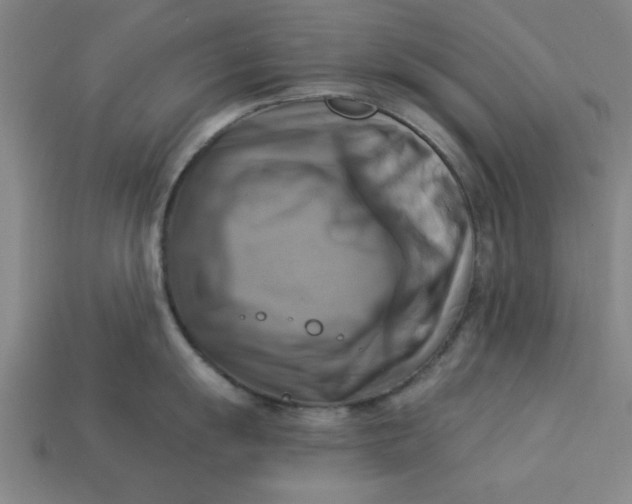 X0000113301055200910051038