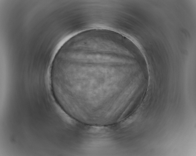 X0000113301056200910051038