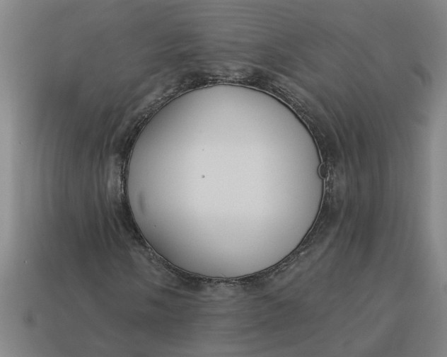 X0000113301058200910051037