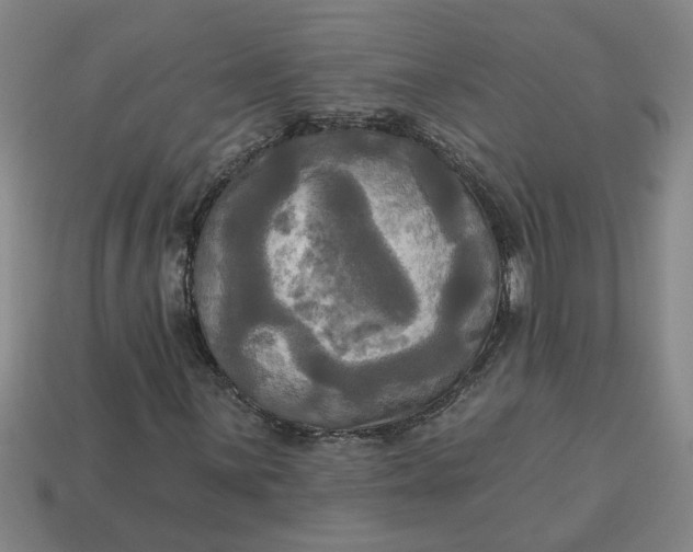 X0000113301059200910051037