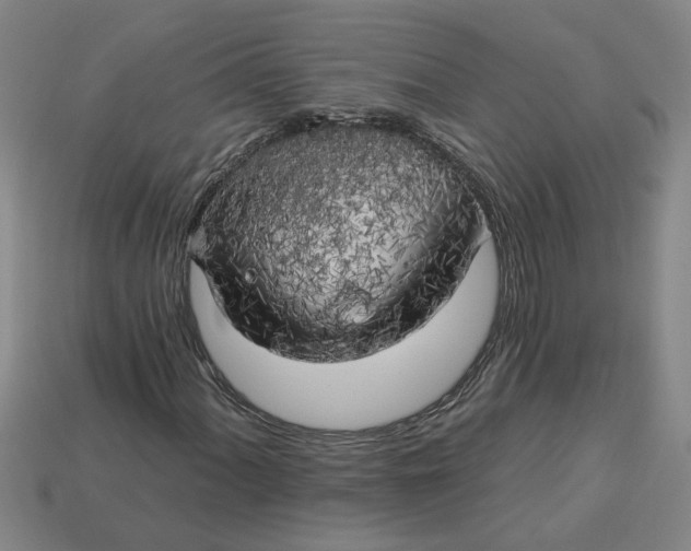 X0000113301060200910051037