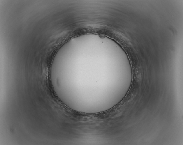 X0000113301061200910051037