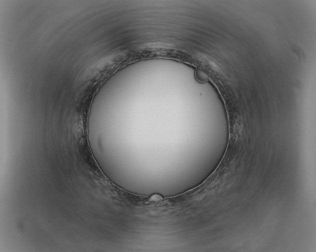 X0000113301062200910051037