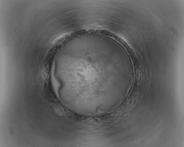 X0000113301063200910051037