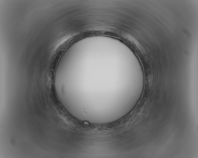 X0000113301064200910051037