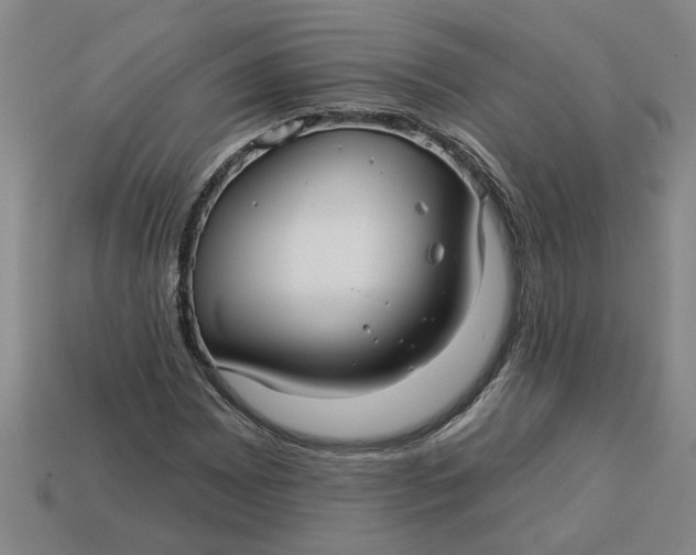 X0000113301065200910051037