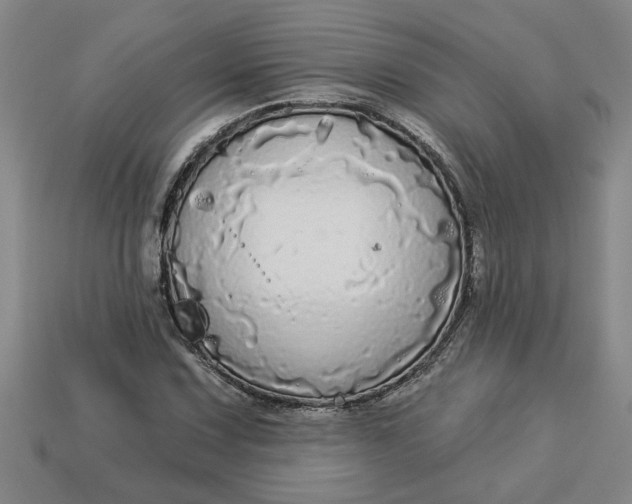 X0000113301067200910051037