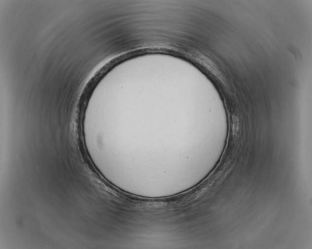 X0000113301068200910051037