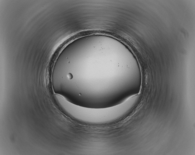 X0000113301069200910051037