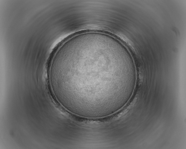 X0000113301070200910051037