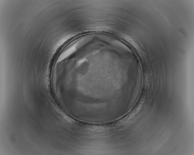 X0000113301071200910051037