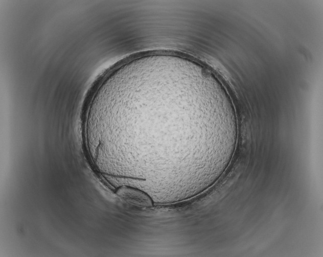 X0000113301072200910051037