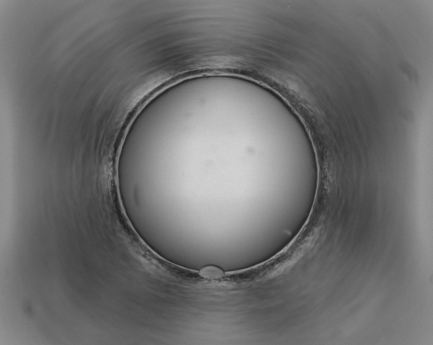 X0000113301073200910051037