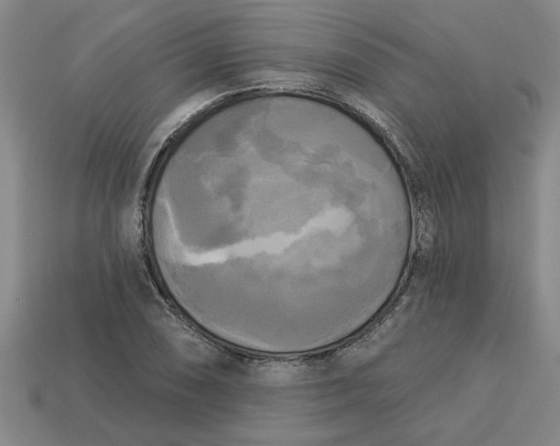 X0000113301074200910051037