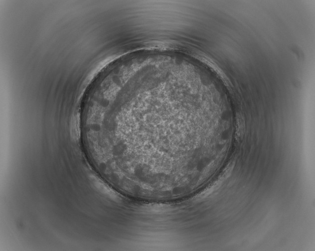 X0000113301075200910051037