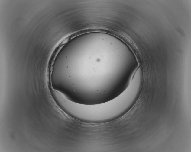 X0000113301076200910051037