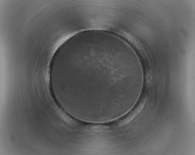 X0000113301077200910051037