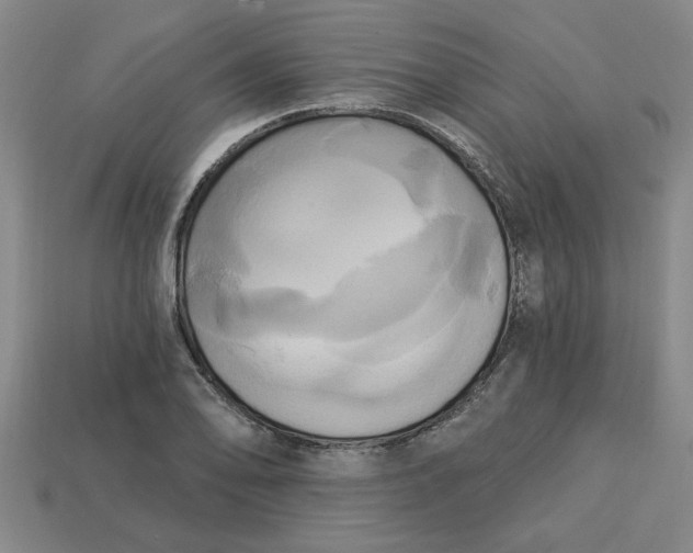 X0000113301078200910051037