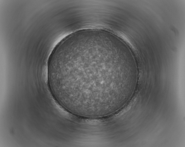 X0000113301079200910051037