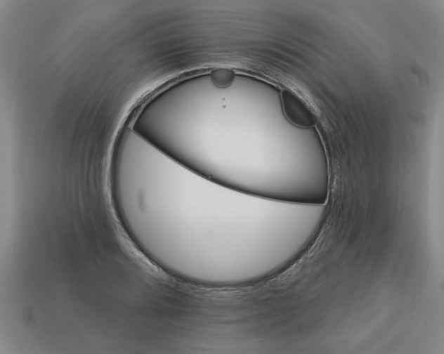 X0000113301080200910051037