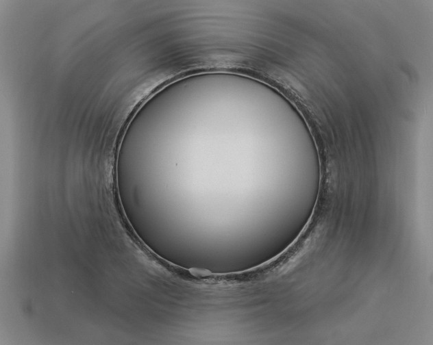 X0000113301081200910051037