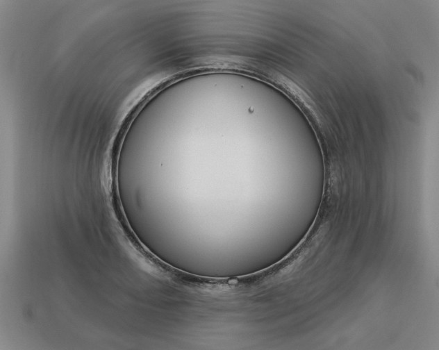 X0000113301082200910051037