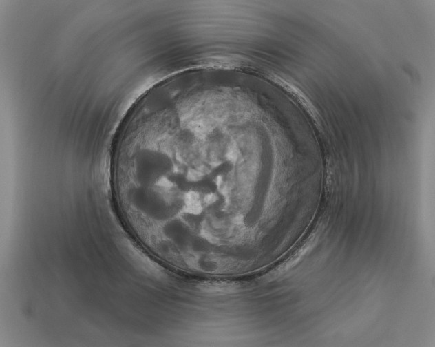 X0000113301083200910051037