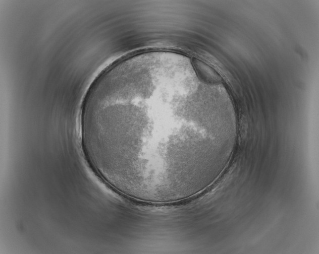 X0000113301084200910051037