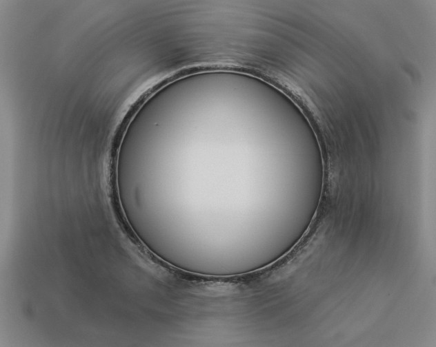 X0000113301085200910051037