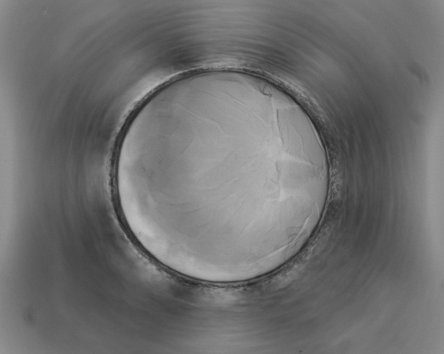 X0000113301086200910051037