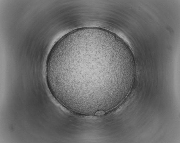 X0000113301088200910051037