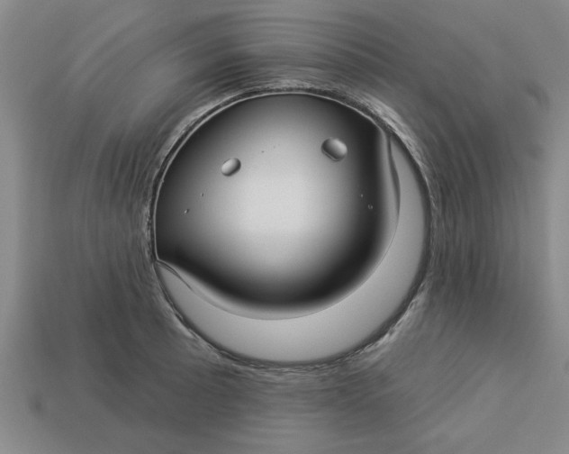 X0000113301089200910051037