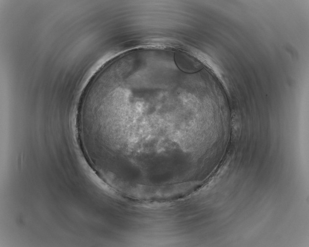 X0000113301091200910051037