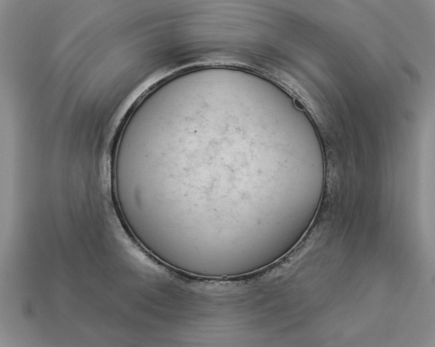 X0000113301092200910051037