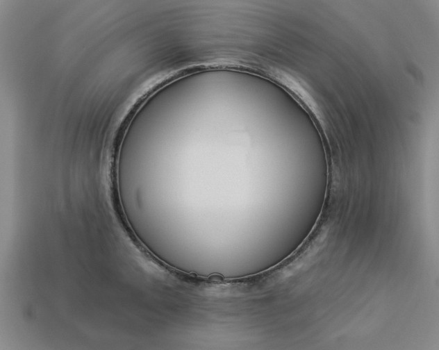 X0000113301093200910051037