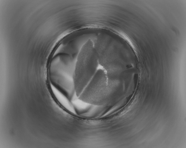 X0000113301095200910051037