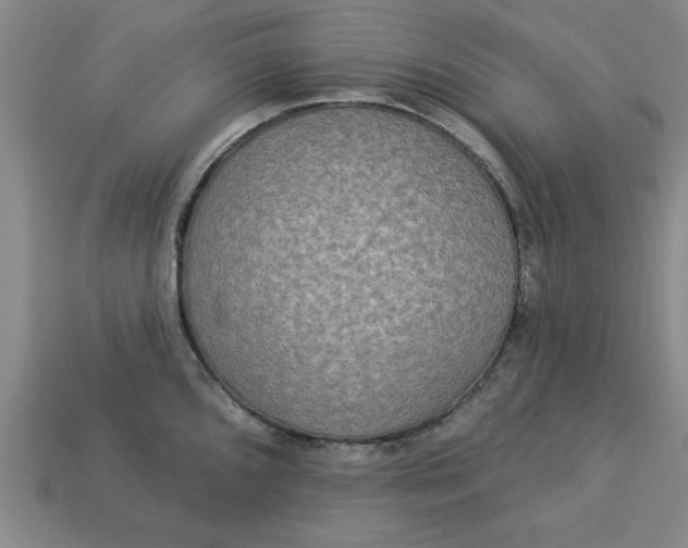 X0000113301096200910051037