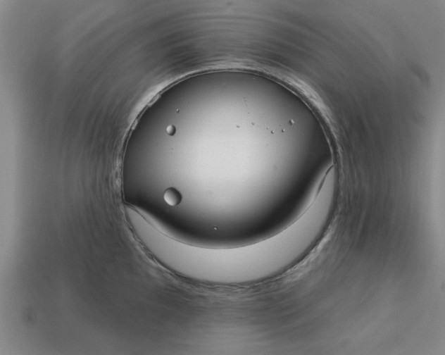 X0000113301097200910051037