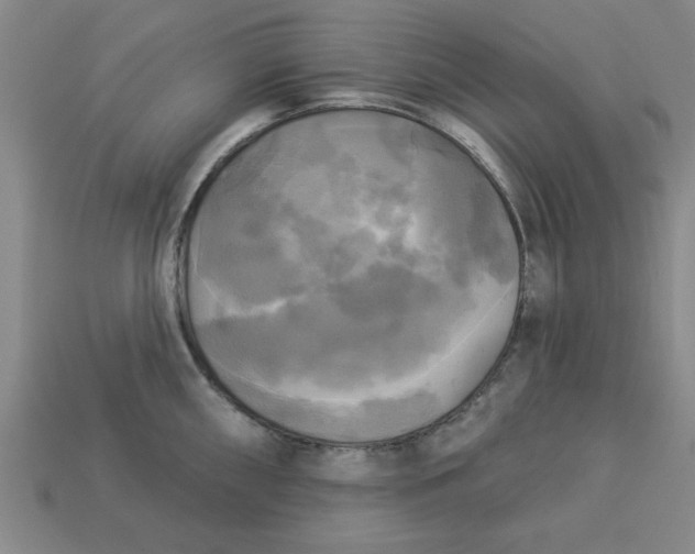 X0000113301098200910051037