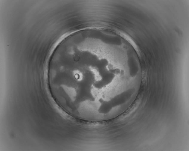 X0000113301099200910051037