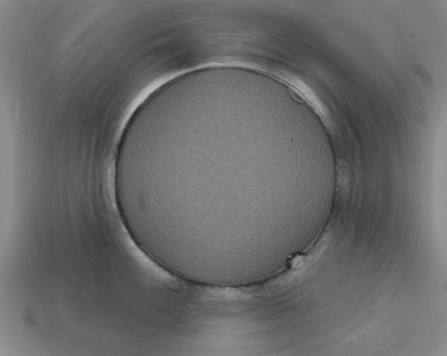 X0000113301100200910051037