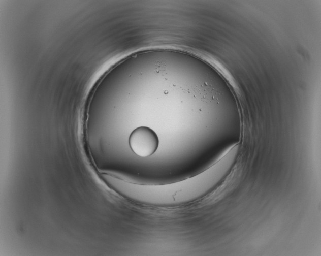 X0000113301101200910051037