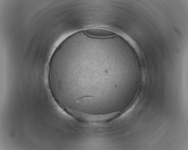 X0000113301102200910051037