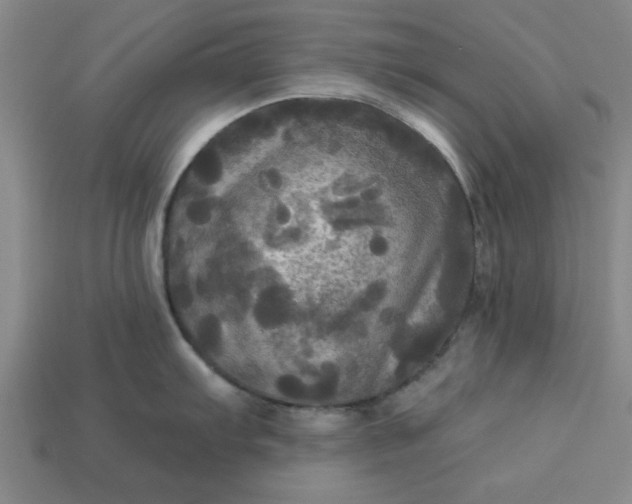 X0000113301103200910051037